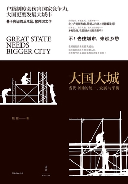 《大国大城》封面